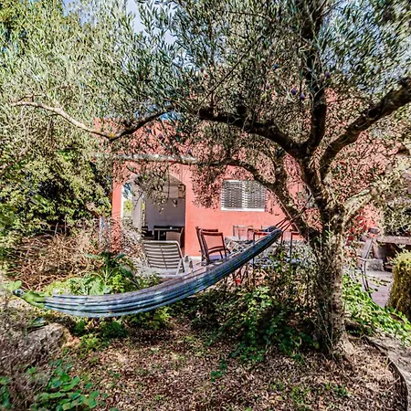 Roza 2 By Guide * 尼亚卢卡