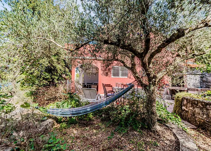 Roza 2 By Guide * Vela Luka